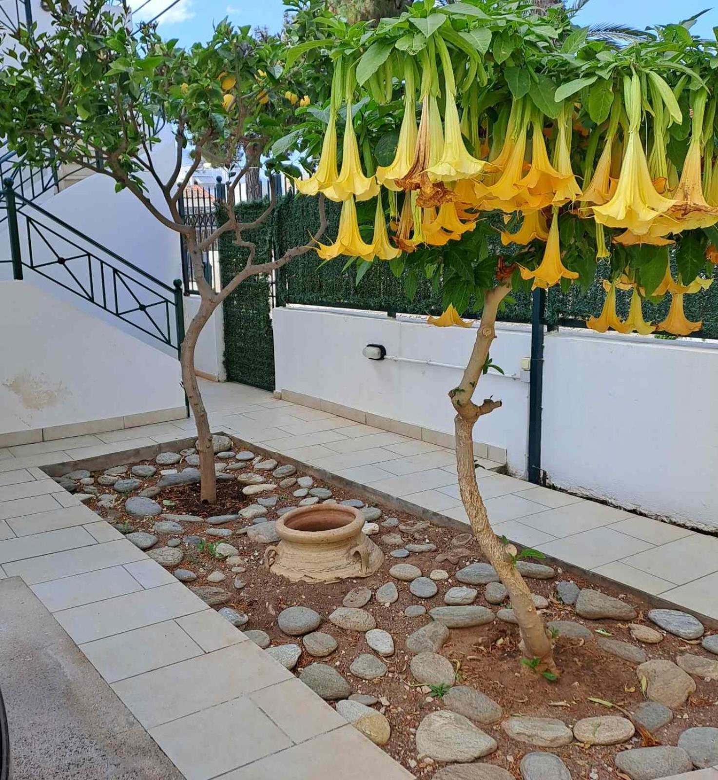 Vicky'S Place,Near Athens Airport Koropion Exterior photo